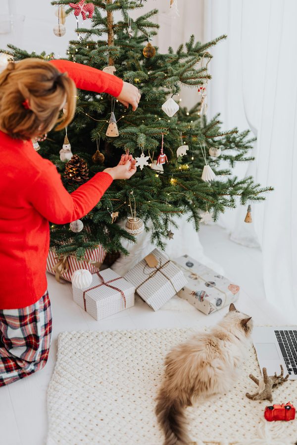 Les plaids animaux : confort et style pour vos compagnons