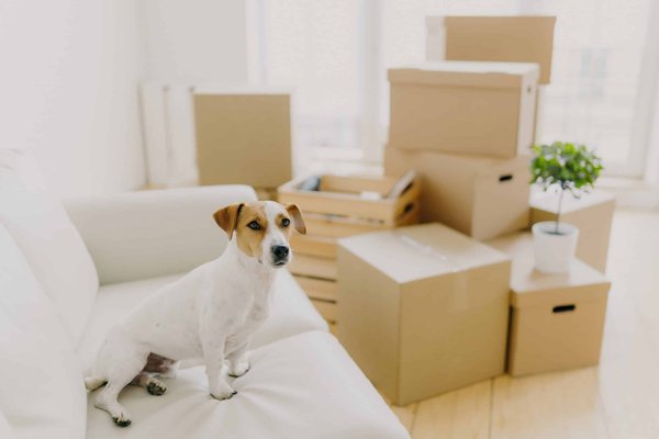 Quelles astuces pour porter une robe-housse en hiver tout en restant au chaud?